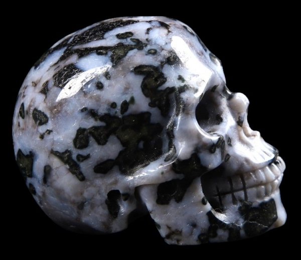 Gabbro Skull